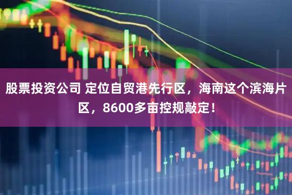 股票投资公司 定位自贸港先行区，海南这个滨海片区，8600多亩控规敲定！